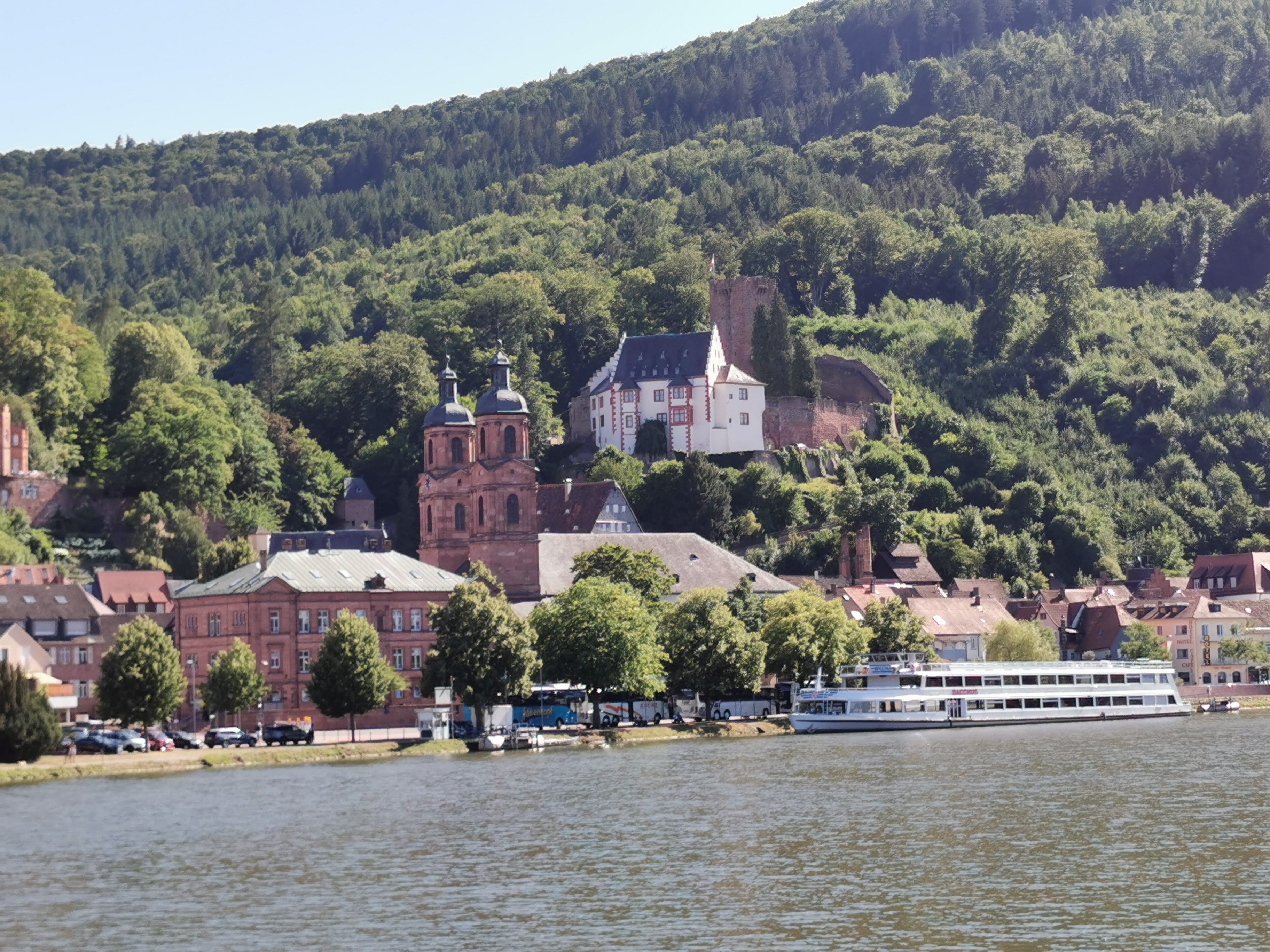 Freudenberg in Sicht