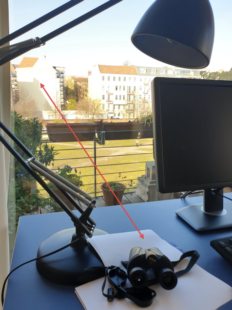 Der Blick aus dem Fenster ...