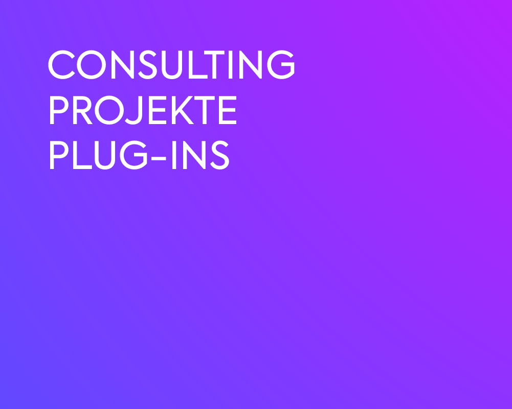 CONSULTING | PROJEKTE | PLUG-INS