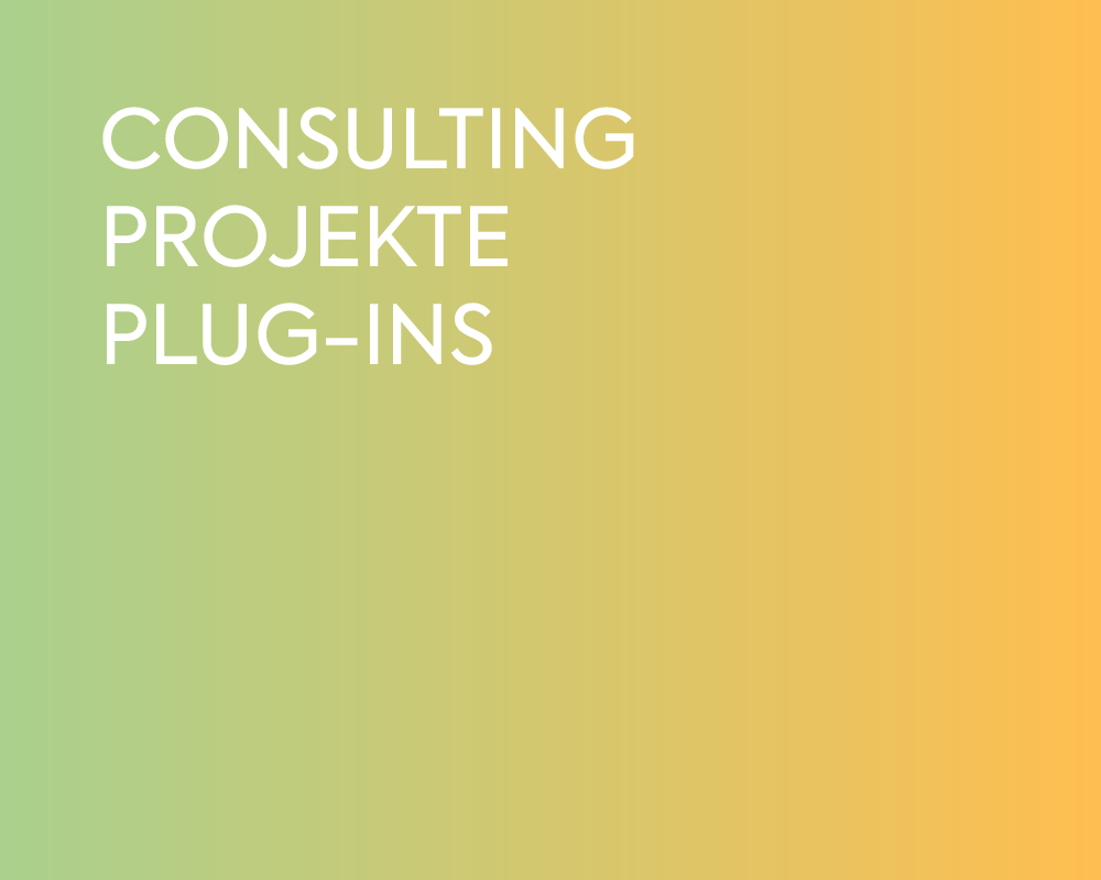 CONSULTING PROJEKTE PLUG-INS